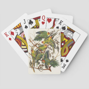 Audubon Carolina Parrot Bird illustration Playing Cards