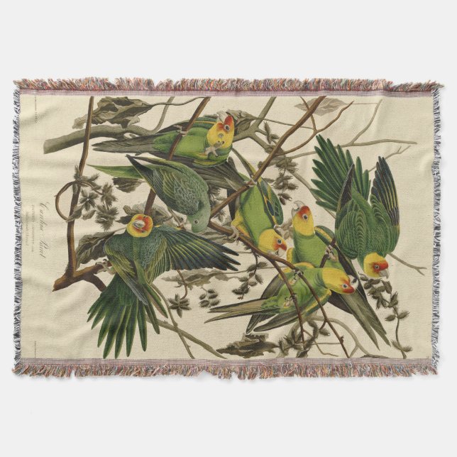 Audubon Carolina Parrot Bird illustration Throw Blanket (Front)