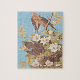 Audubon Carolina Pigeon or Turtle Dove Jigsaw Puzzle