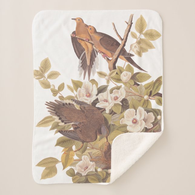Audubon Carolina Turtle Dove Sherpa Blanket (Front)