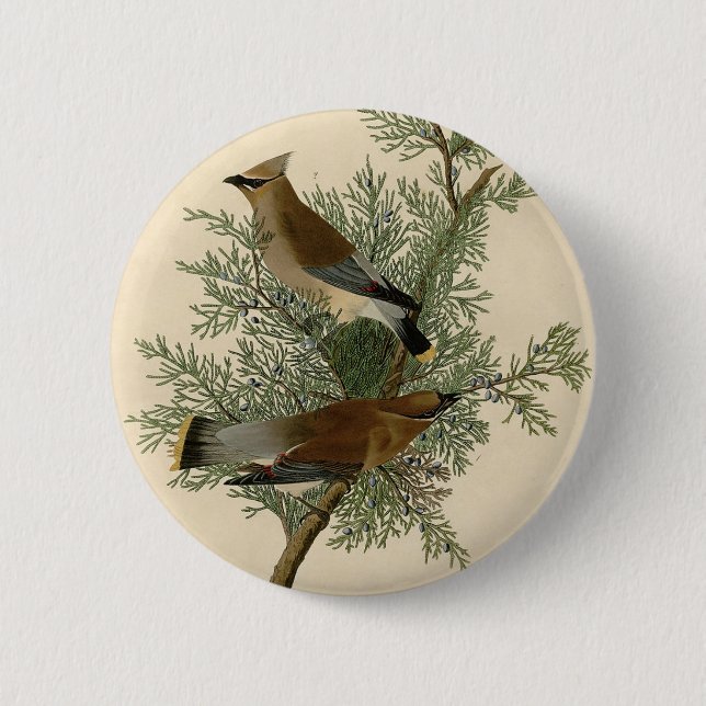 Audubon Cedar Waxwing Bird 6 Cm Round Badge (Front)