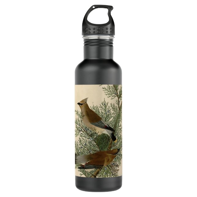 Audubon Cedar Waxwing Bird 710 Ml Water Bottle (Front)