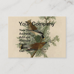 Audubon Cedar Waxwing Bird Business Card