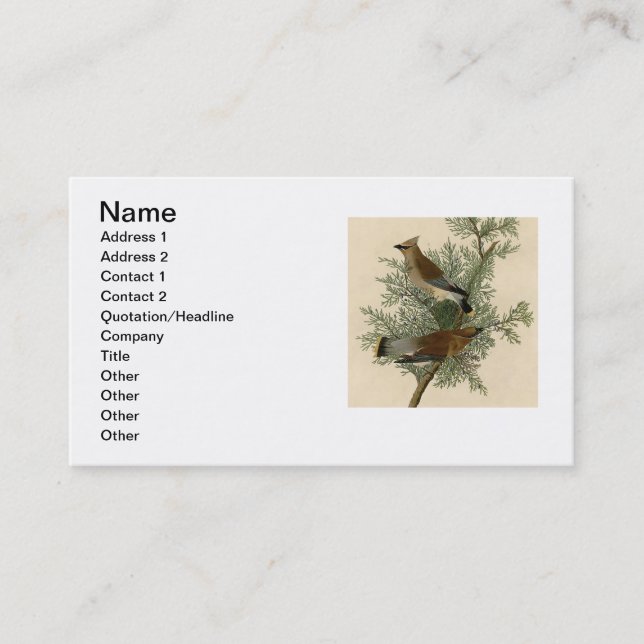 Audubon Cedar Waxwing Bird Business Card (Front)