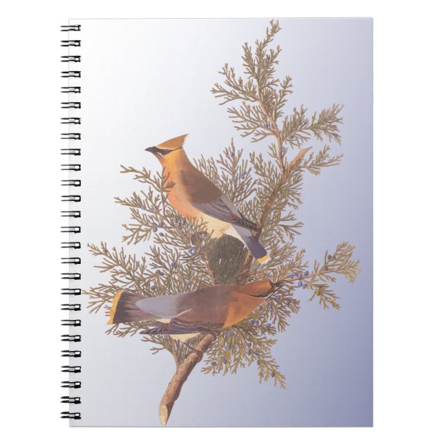 Audubon Cedar Waxwing Bird on Evergreen Juniper Notebook (Front)