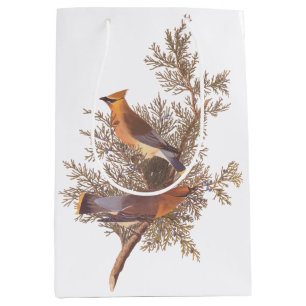 Audubon Cedar Waxwing Songbirds in Juniper Medium Gift Bag