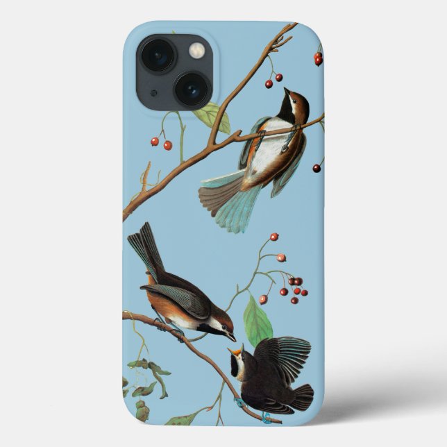 Audubon: Chickadee Case-Mate iPhone Case (Back)