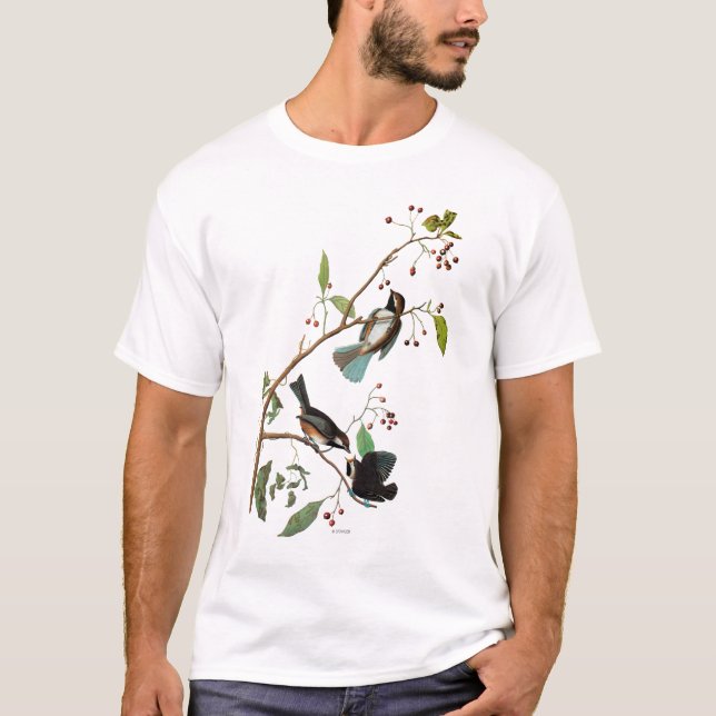 Audubon: Chickadee T-Shirt (Front)