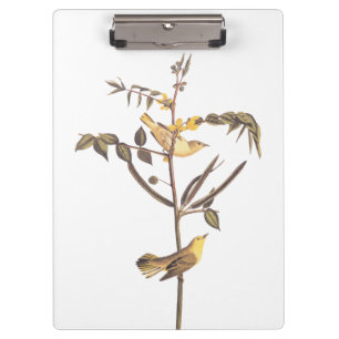 Audubon Children's Warbler Songbird Clipboard