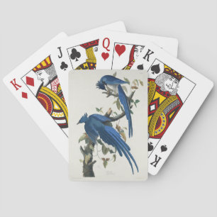 Audubon Columbia Jay Black Throated Magpie Jay Playing Cards