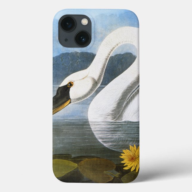 Audubon: Common Swan Case-Mate iPhone Case (Back)