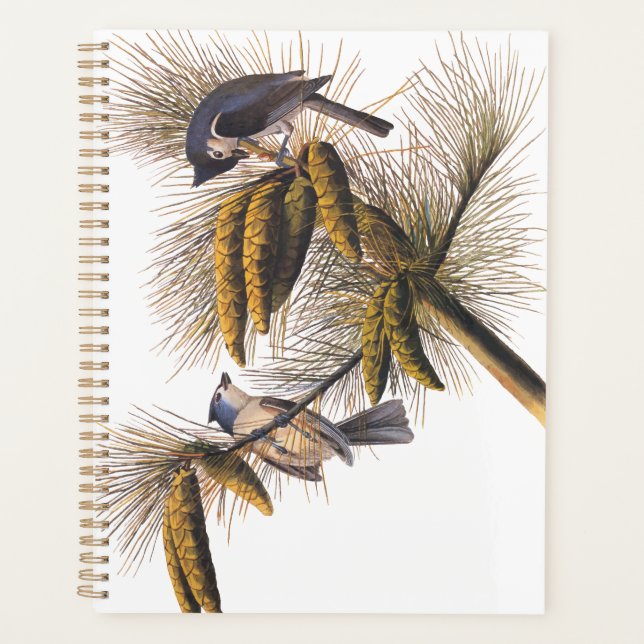 Audubon Crested Titmouse Birds in Pine Tree Planner (Front)