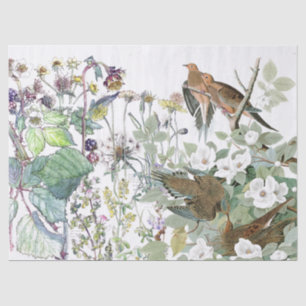 Audubon Dove Bird Wildflower Flowers Tissue Paper