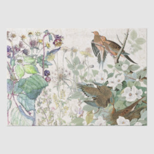 Audubon Dove Birds Wildflower Flowers Tissue Paper