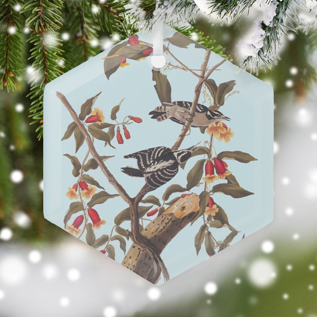 Audubon Downy Woodpecker Couple with Flowers Glass Tree Decoration (Audubon Downy Woodpecker Glass Ornament on snow covered Christmas tree)