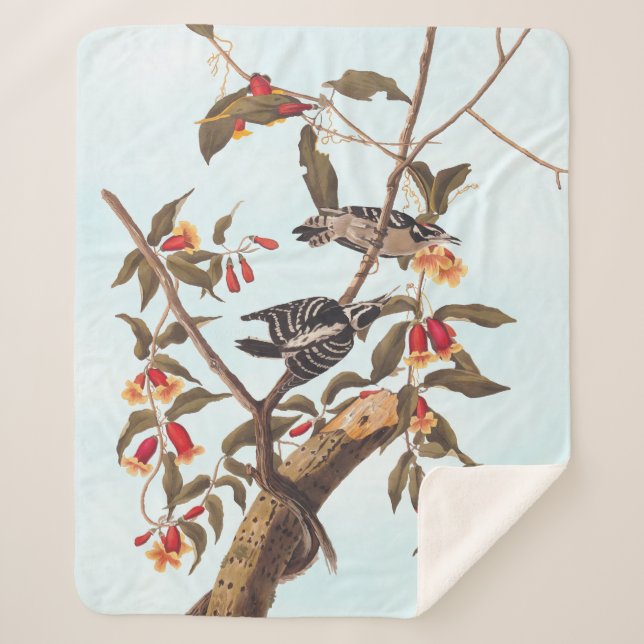 Audubon Downy Woodpecker Couple with Flowers Sherpa Blanket (Front)