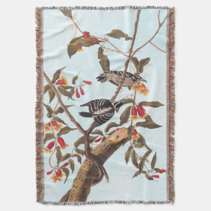 Audubon Downy Woodpecker Couple with Flowers Throw Blanket