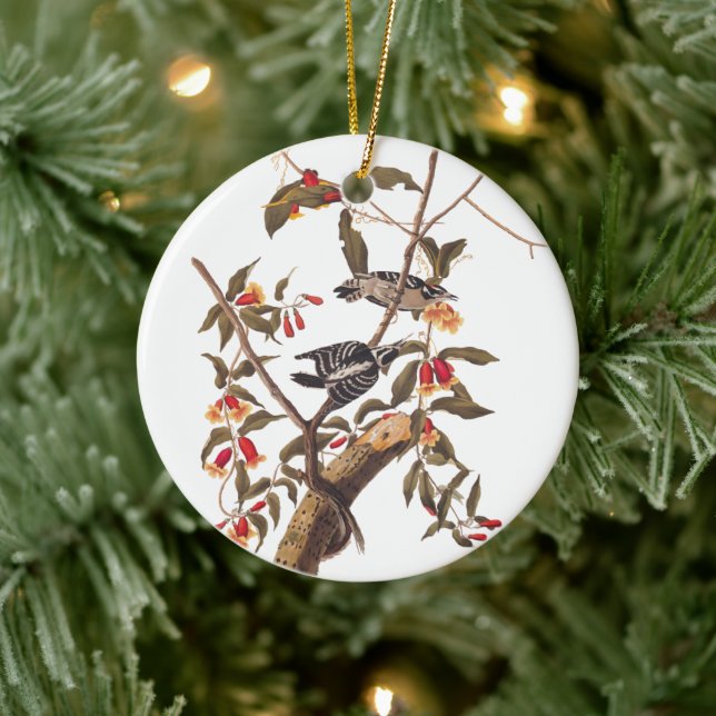 Audubon Downy Woodpecker Pair Ceramic Tree Decoration (Tree)