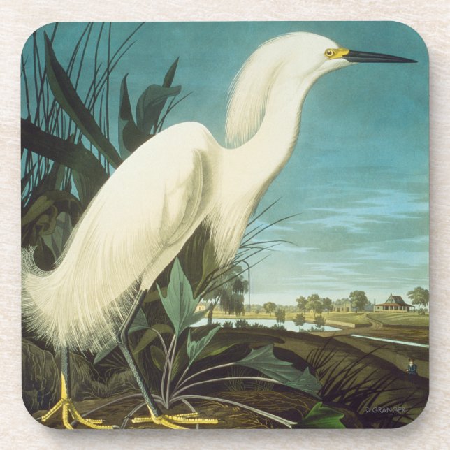 Audubon: Egret Coaster (Front)