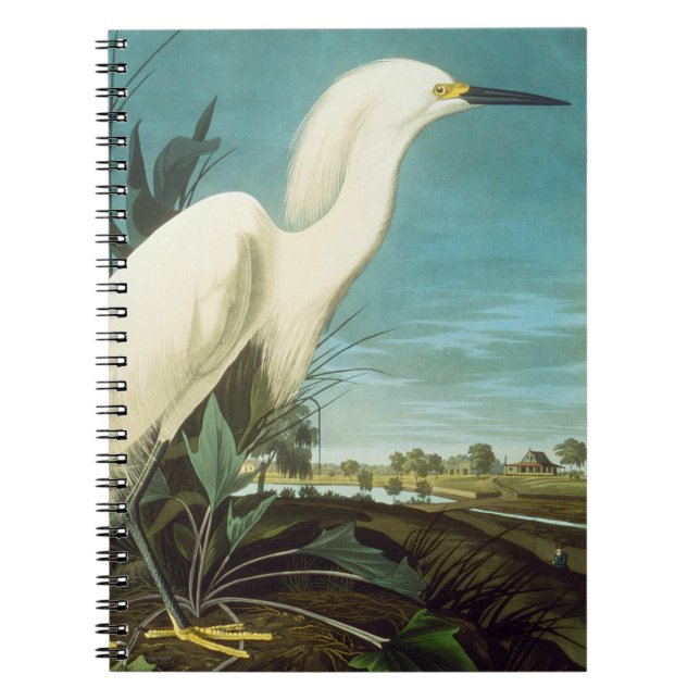 Audubon: Egret Spiral Notebook (Front)