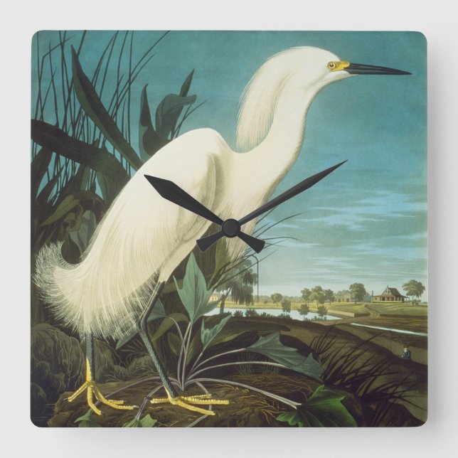 Audubon: Egret Square Wall Clock (Front)