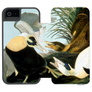 Audubon: Eider Duck Incipio Watson™ iPhone 5 Wallet Case