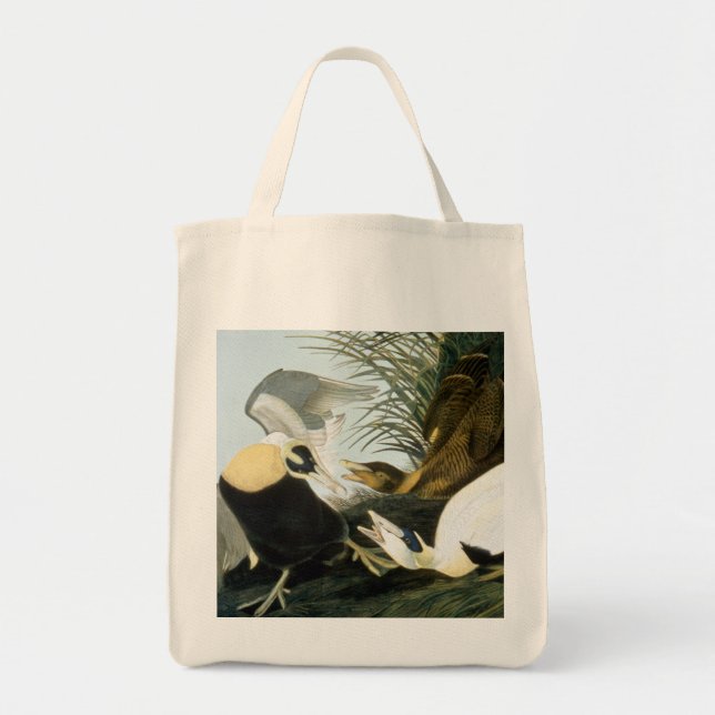 Audubon: Eider Duck Tote Bag (Front)