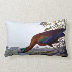 Audubon: Glossy Ibis Lumbar Cushion