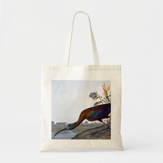 Audubon: Glossy Ibis Tote Bag (Front)