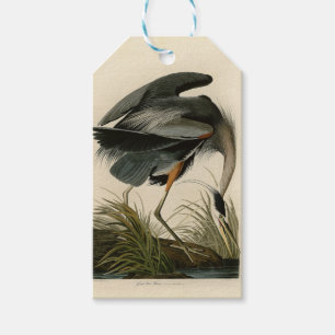 Audubon Great Blue Heron Birds Gift Tags
