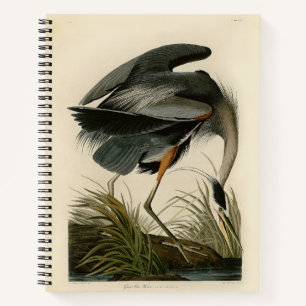 Audubon Great Blue Heron Birds Notebook