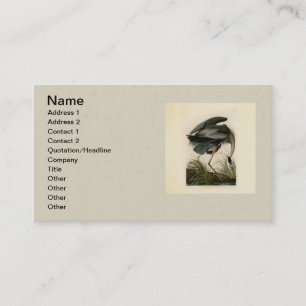 Audubon Great Blue Heron Marsh Bird Business Card