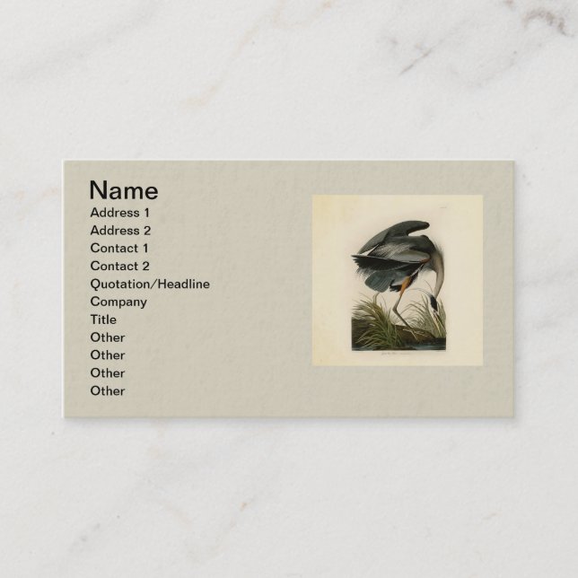 Audubon Great Blue Heron Marsh Bird Business Card (Front)