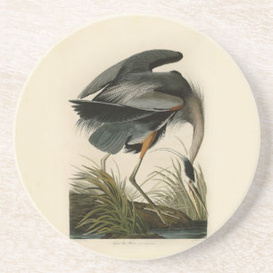 Audubon Great Blue Heron Marsh Bird Coaster