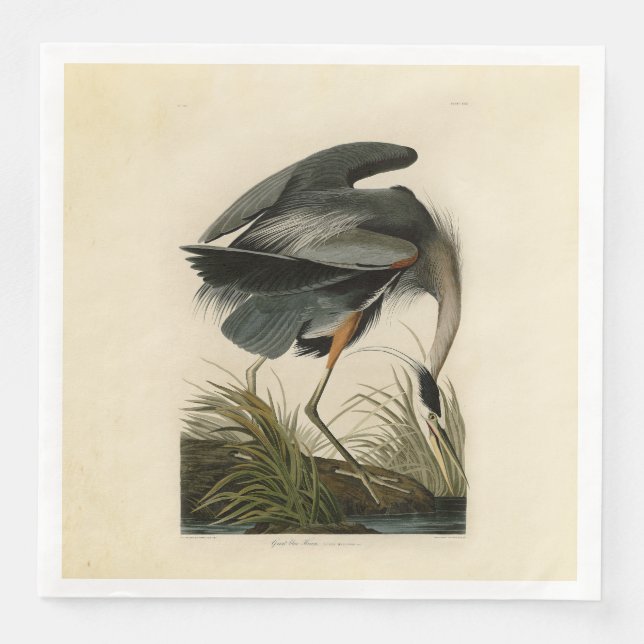Audubon Great Blue Heron Marsh Bird Napkin (Front)