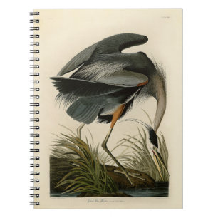 Audubon Great Blue Heron Marsh Bird Spiral Notebook