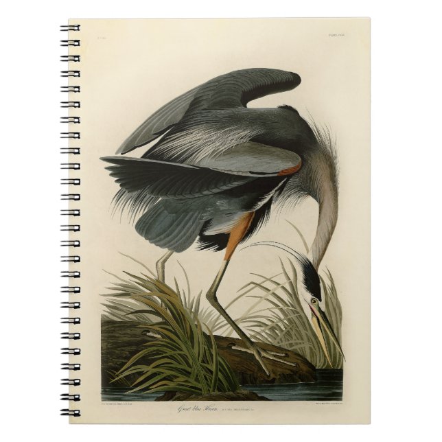 Audubon Great Blue Heron Marsh Bird Spiral Notebook (Front)