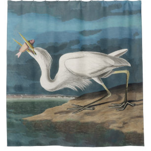 Audubon Great White Heron: Vintage Coastal Bird Shower Curtain