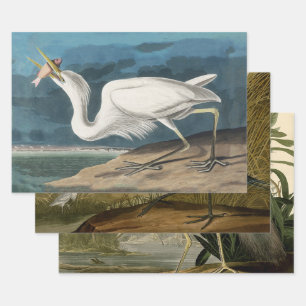 Audubon Great White Heron: Vintage Coastal Bird Wrapping Paper Sheet