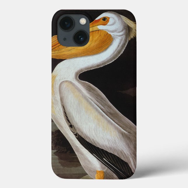 Audubon: Great White Pelican Case-Mate iPhone Case (Back)