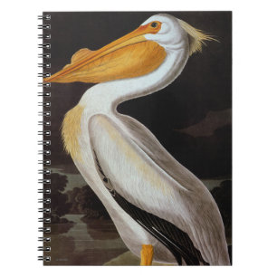 Audubon: Great White Pelican Notebook