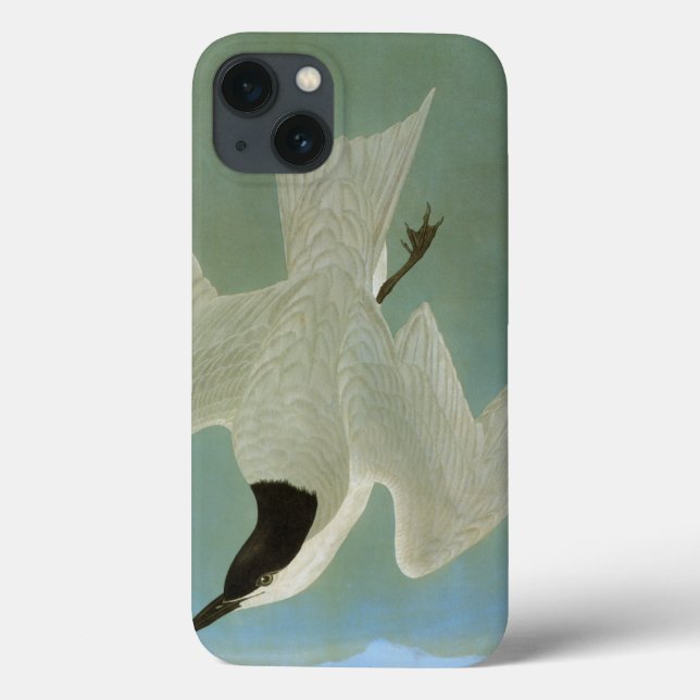 Audubon: Gull-Billed Tern Case-Mate iPhone Case (Back)
