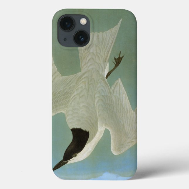 Audubon: Gull-Billed Tern Case-Mate iPhone Case (Back)