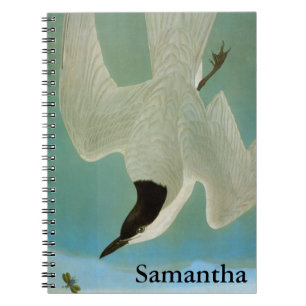 Audubon: Gull-Billed Tern Spiral Notebook