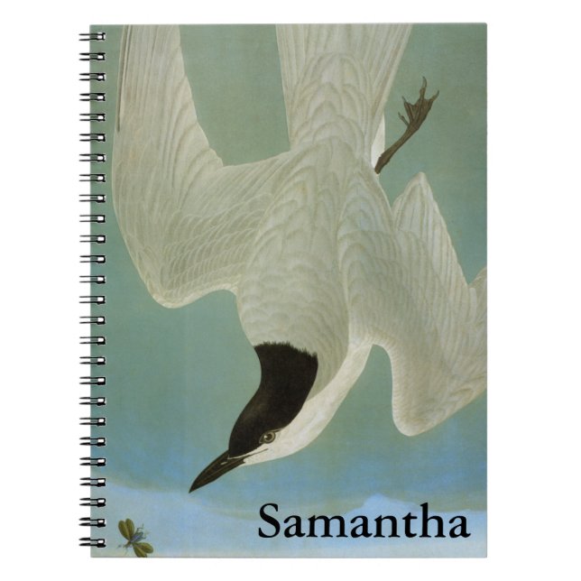 Audubon: Gull-Billed Tern Spiral Notebook (Front)
