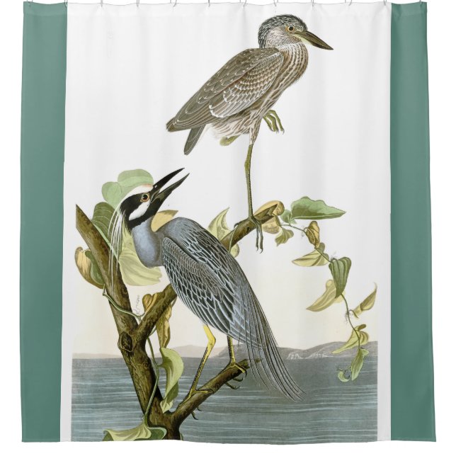 Audubon Heron Birds Animal Wetlands Shower Curtain (Front)