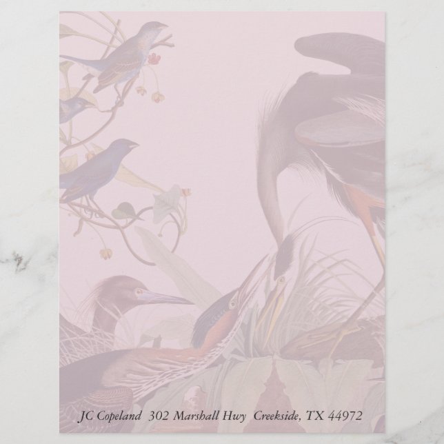 Audubon Heron Birds Collage Stationery Letterhead (Front)