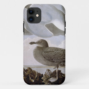 Audubon: Herring Gull Case-Mate iPhone Case