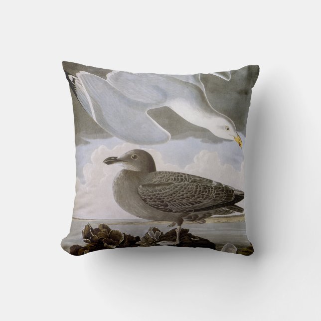 Audubon: Herring Gull Cushion (Front)