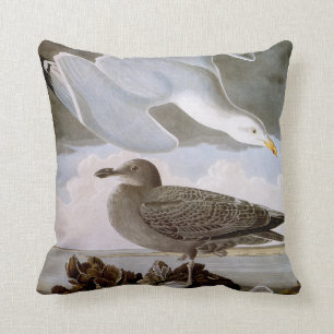 Audubon: Herring Gull Cushion